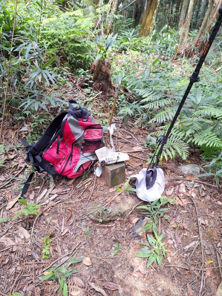 埔里枇杷城山+犁頭尖山+虎子山2585371