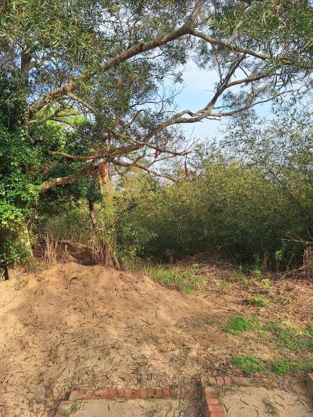 頭份鹿廚坑健行步道2734333