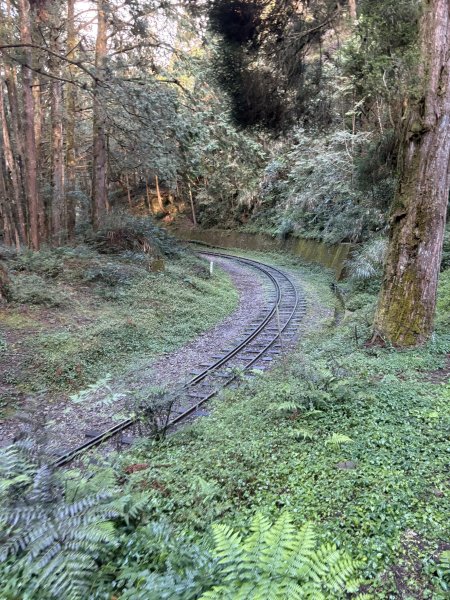 20251225塔山步道(大塔山)2970294