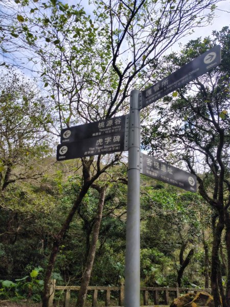 大里天公廟上灣坑頭山下桃源谷石觀音線2938582