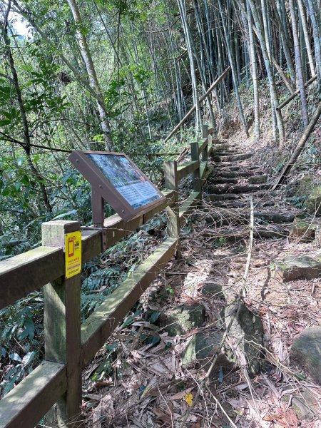 奮太、奮瑞古道上雲戴山續走幼葉林山2493000