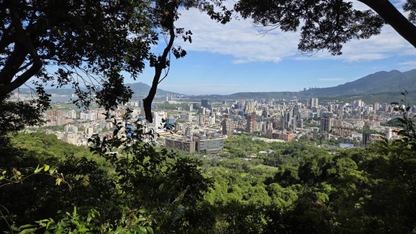 20260725 劍潭山親山步道3090594
