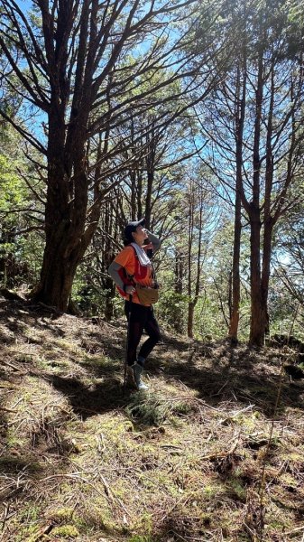 太平之旅 三星山/翠峰湖/見晴2873357