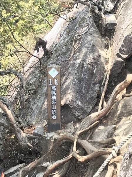 鳶嘴山929365