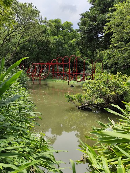 大安森林公園、大港墘公園【走路趣尋寶】【臺北健走趣】2581473