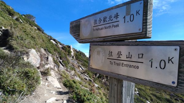 合歡山北峰!325563