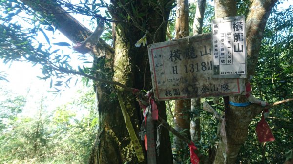 水雲三星排名第三 橫龍山452828