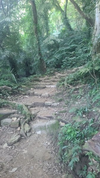 2026-0114溪州山小百岳2984880