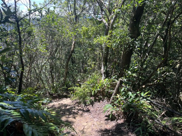 [微笑山線_第九段] 2025_0914 二格山系_皇帝殿西峰2889670