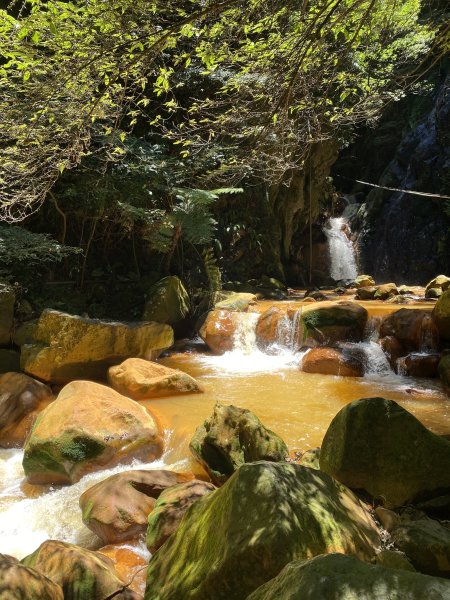 《陽明山秘境健行｜翠峰瀑布 × 天母古道 夏日涼爽路線》2852218