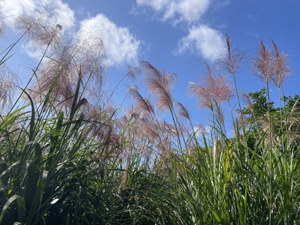 月扇湖大岩壁2952420