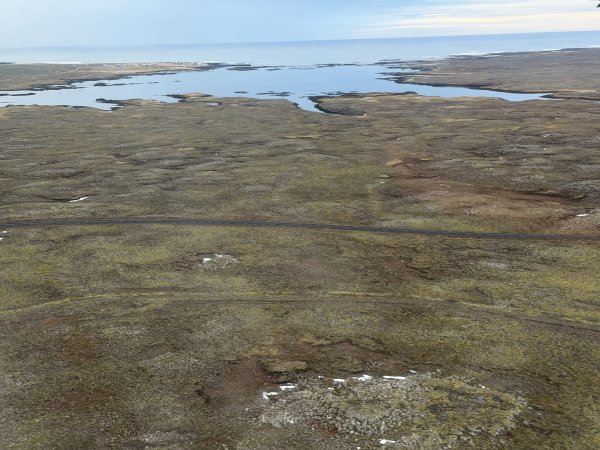 [紐約馬之行-50] 2025_1109~11 回到冰島/美國2952669