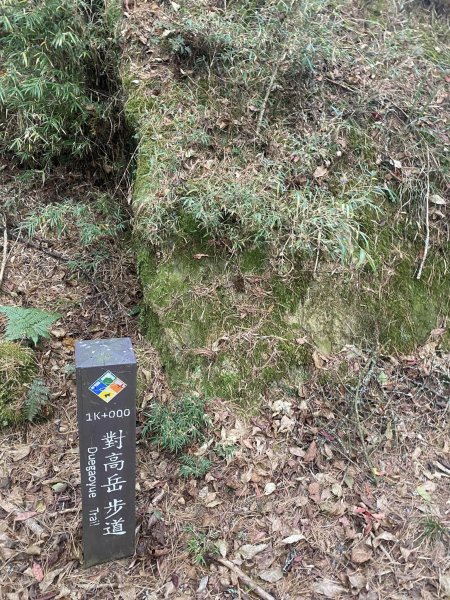10阿里山小笠原對高岳11201253126519