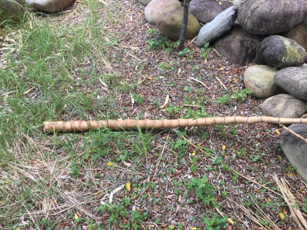 霄裡好風光好景色2825435