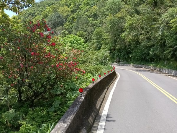 雙溪區不厭亭+牡丹山+樹梅坪+鷹石岩山神廟+不厭亭+奉憲示禁碑+三貂崙+不厭亭8字走2766274