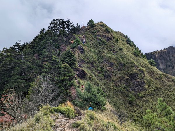 郡大山(百岳#54)、望鄉山登山行1887215