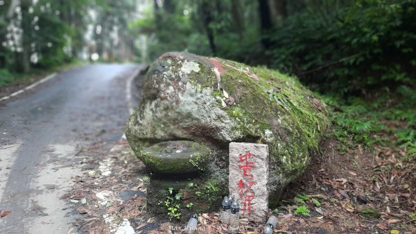 《新竹》不見五指｜北埔五指山登山步道上中指峰202410102619041