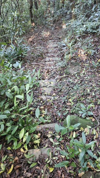 20251124綠峰山莊到天籟-大孔尾步道-南勢湖步道2944099