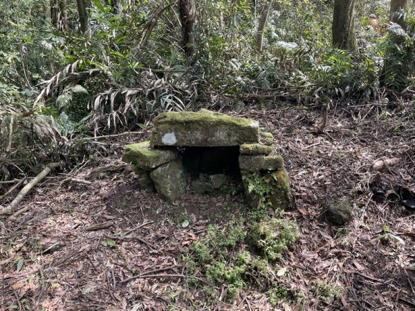 小格頭越嶺坪林2738368