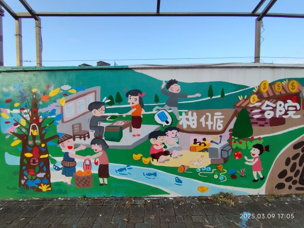 【臺北大縱走 3】夢幻湖步道→夢幻湖→擎天崗遊客服務站→冷擎步道→文林北路→自強街2733131