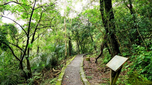 三貂嶺瀑布群,野人谷瀑布群2832470