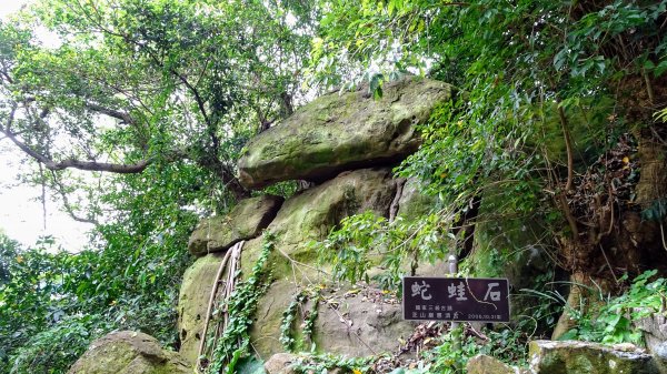 芝山岩,石角古道,保甲路未竟1655216