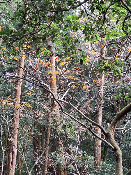 仙山古道群峰O型2693658