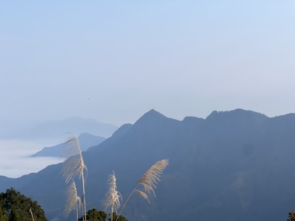 小百岳-金柑樹山2717266