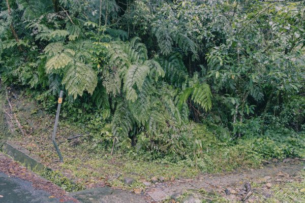 [新北]二格山2730232