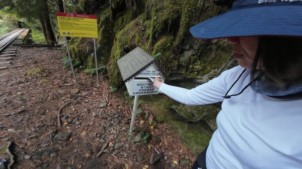 阿里山眠月線2972782