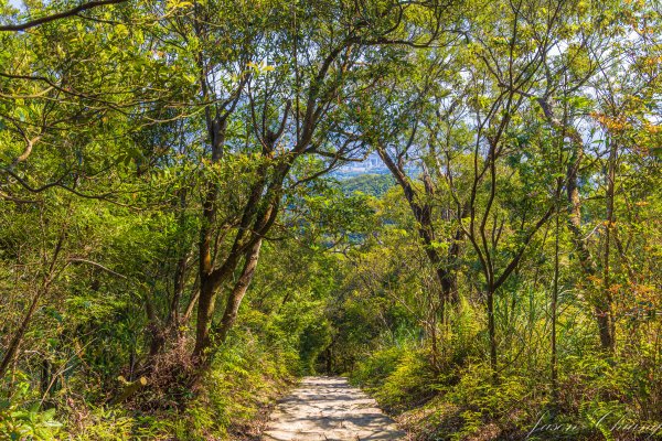 [台北]大崙頭山、碧山巖、忠勇山2746154