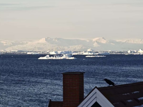 [紐約馬之行-38] 2025_1106 夜晚的伊盧利薩特2948239