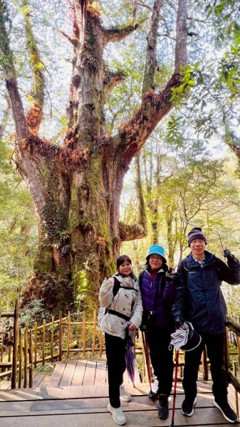 🌈2/7（六）-2/8（日）上帝部落~司馬庫斯神木2日深度之旅✨FB：熊熊趴爬走🌈🌈2995212