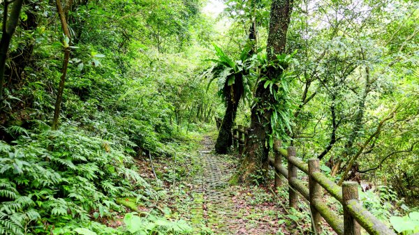 蛇子形古道。美廠產能完售2784735