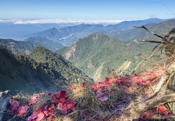 鳶嘴稍來步道賞楓季 ，大雪山門票優惠到12/31！2969589