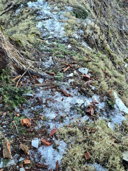 卓社大山〔武界栗栖溪登山口起登〕2748485