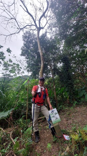 龜山五連星+大棟山O型2785144