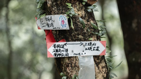 傳說中的「魔神仔洞」| 菁桐古道（汐止段＆平溪段）2721240