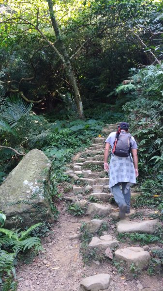 大溪大灣坪古道-環湖公路-新溪洲山步道728064