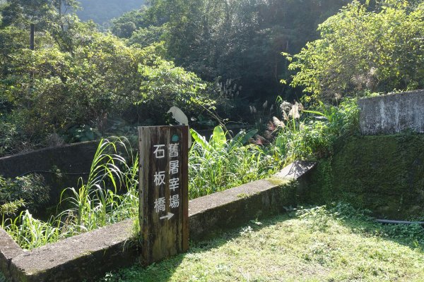 大舌湖步道 虎寮潭3086035