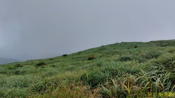 大屯山1827905
