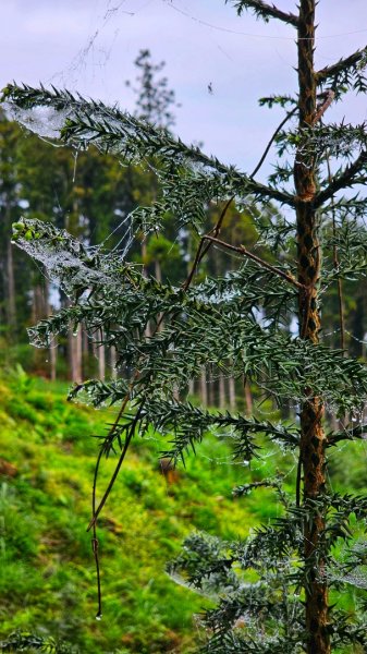 112.04.08 油羅山2123549