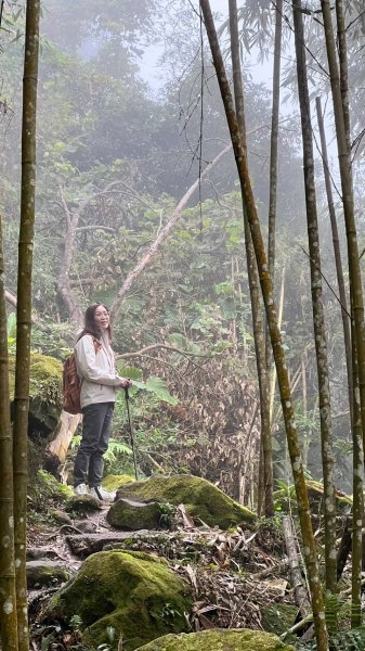 〽️12/25（三）聖誕節~楓紅了🍁~馬拉邦(小百岳)賞楓眺望聖稜線2676385