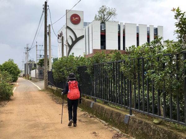 二水登廟步道健走松柏坑山404311