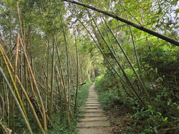 雲嘉六連峰（小百岳）2928001