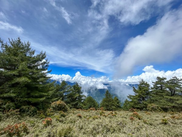 郡大林道-郡大山～2226208