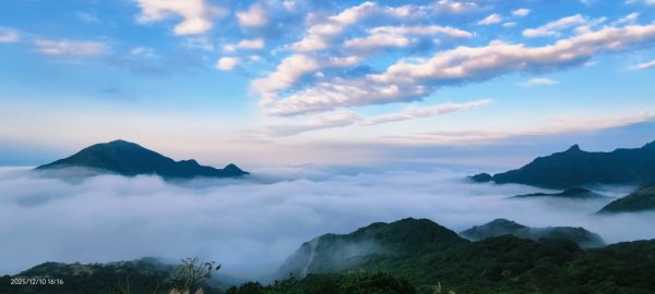 #樹梅坪 #金瓜石 12/102958909