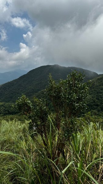 石龜山、叢雲山O走2592634