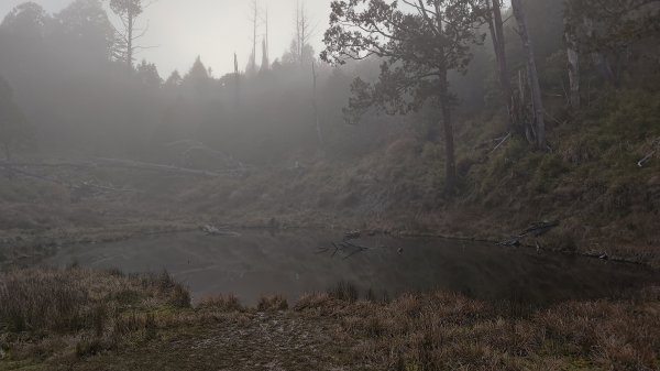 仙女散落的珍珠2723941