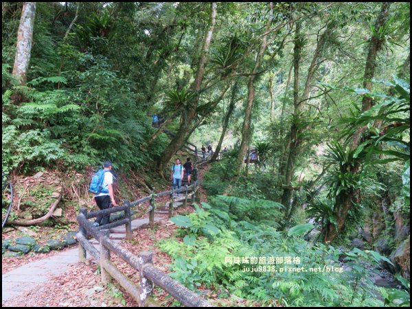 烏來內洞國家森林遊樂區觀瀑步道618574